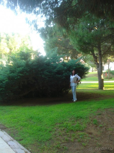 Замечательный отдых в Грин макс хотел