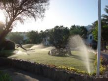 фото Domina Coral Bay Oasis