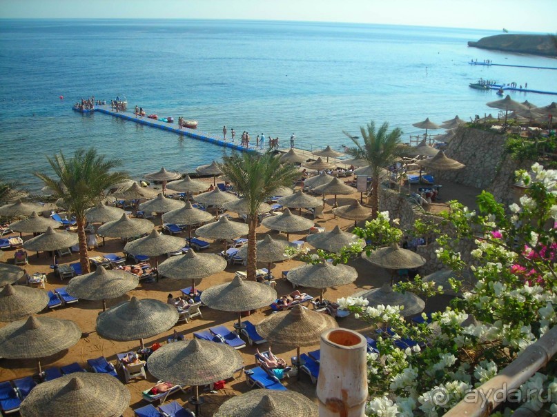 фото Island View Resort