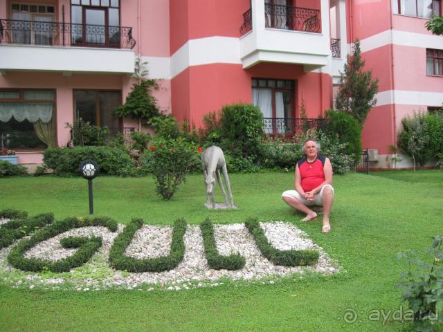 фото Seagull Hotel