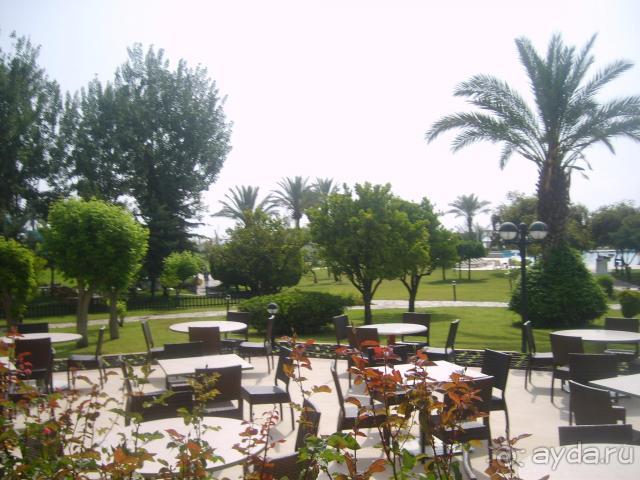 Отдыхали с мужем в Турции в 2009 году.