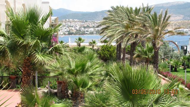 фото Radisson Blu Espoo