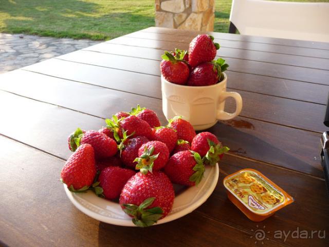 фото Lefkoniko Corner