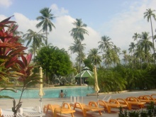 Зелёный срприз релакса на берегу кипящих страстей...