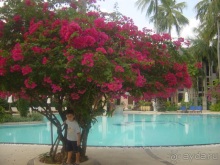 Зелёный срприз релакса на берегу кипящих страстей...