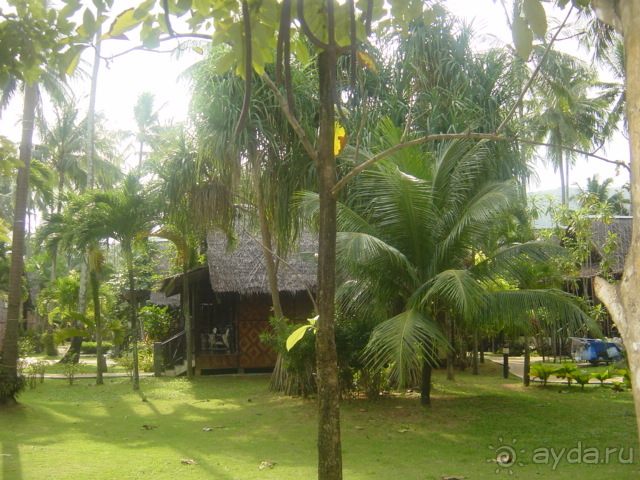 Зелёный срприз релакса на берегу кипящих страстей...