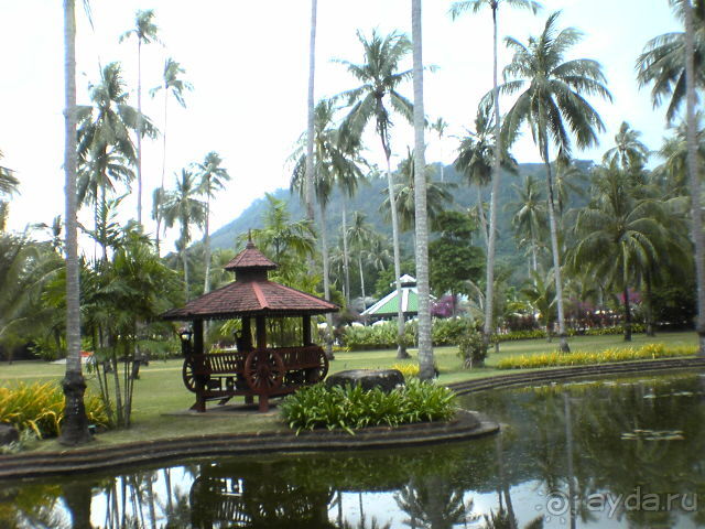 Зелёный срприз релакса на берегу кипящих страстей...