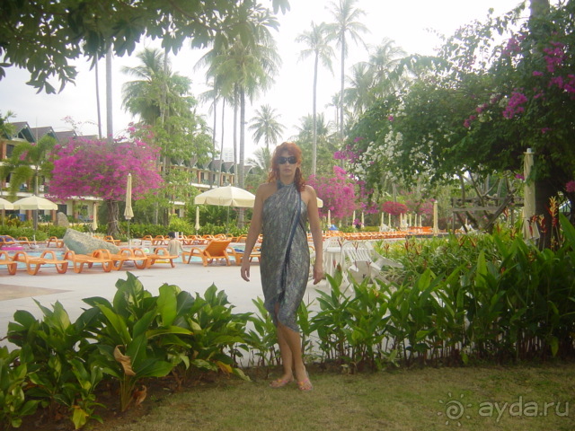 Зелёный срприз релакса на берегу кипящих страстей...