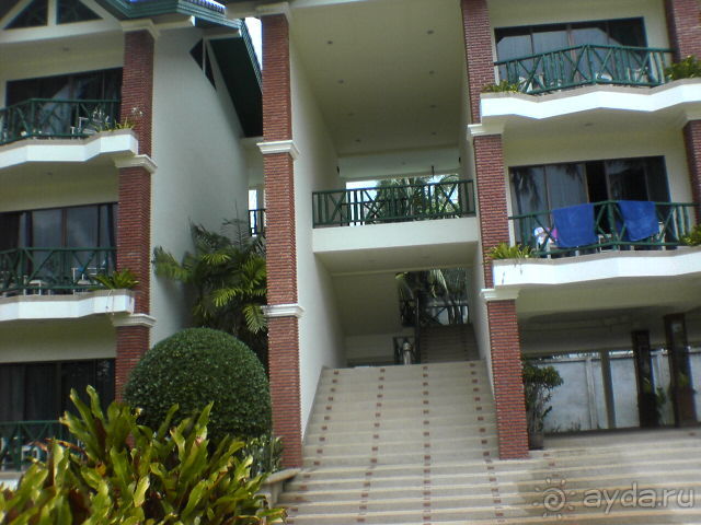 Зелёный срприз релакса на берегу кипящих страстей...