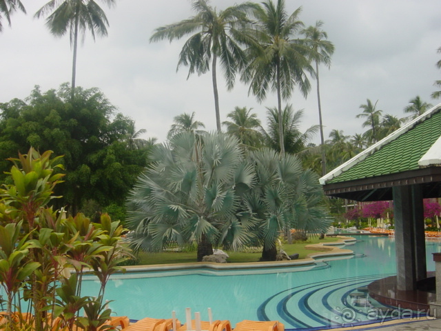 Зелёный срприз релакса на берегу кипящих страстей...