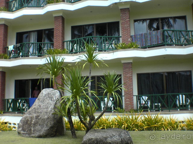 Зелёный срприз релакса на берегу кипящих страстей...