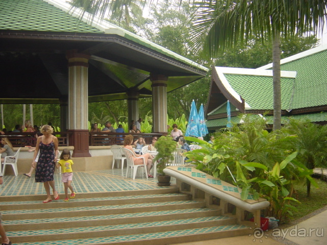 Зелёный срприз релакса на берегу кипящих страстей...