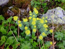 Горные треки на Лофотенских островах