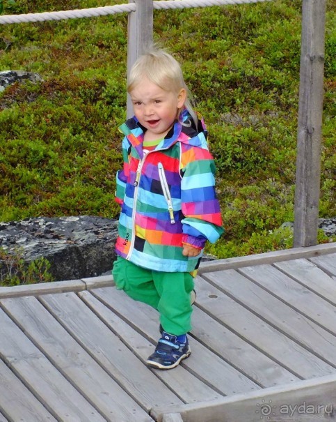 Мелкий финский турист Эмиль