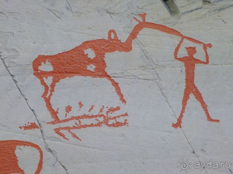 Охотник или скотовод?