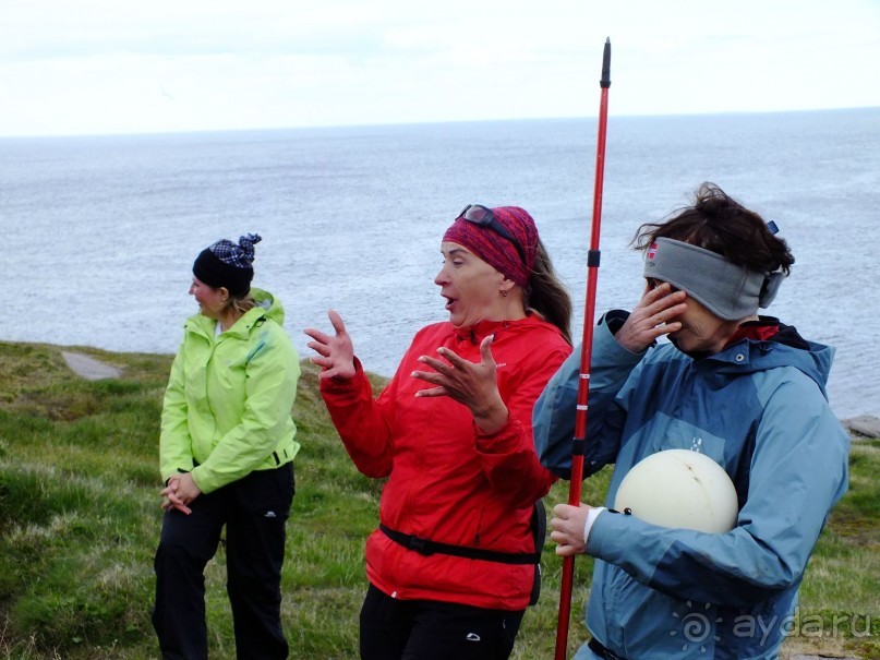 король с королевой