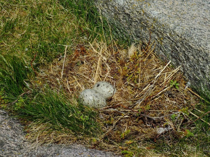 Нордкап и Книвсшельодден