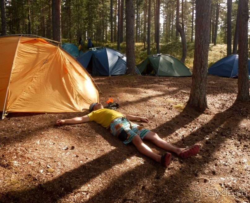 фото Пумалы