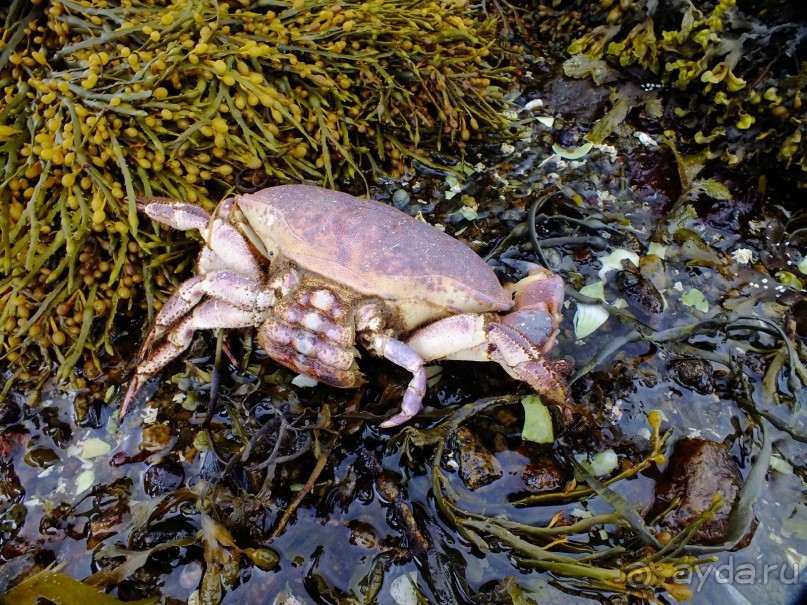 На каяках по фьордам