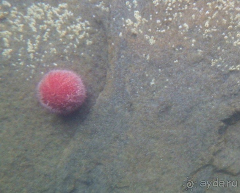 На каяках по фьордам