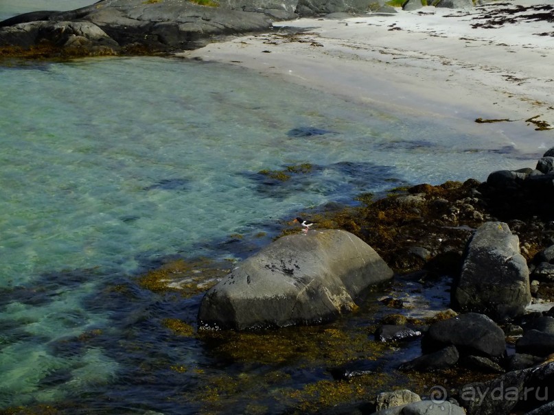 На каяках по фьордам