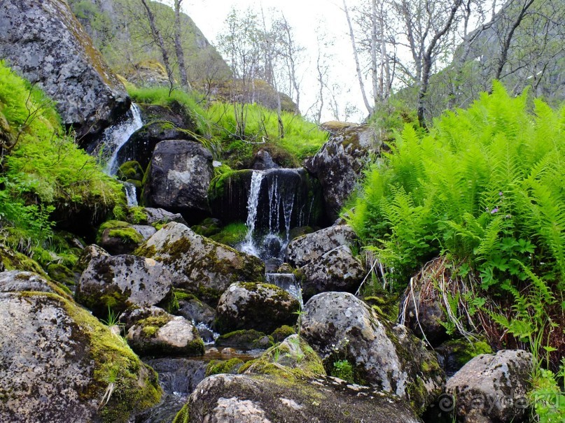 На каяках по фьордам