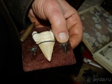 Краеведческий музей "Беловодье", Адыгея