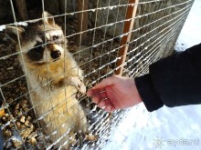 Краеведческий музей "Беловодье", Адыгея