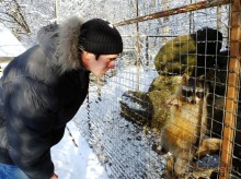 Краеведческий музей "Беловодье", Адыгея