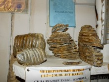 Краеведческий музей "Беловодье", Адыгея