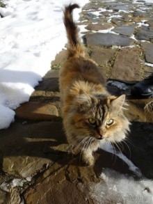 Краеведческий музей "Беловодье", Адыгея