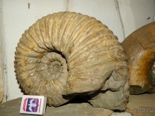 Краеведческий музей "Беловодье", Адыгея