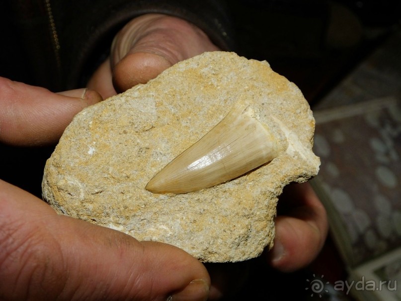 Краеведческий музей "Беловодье", Адыгея