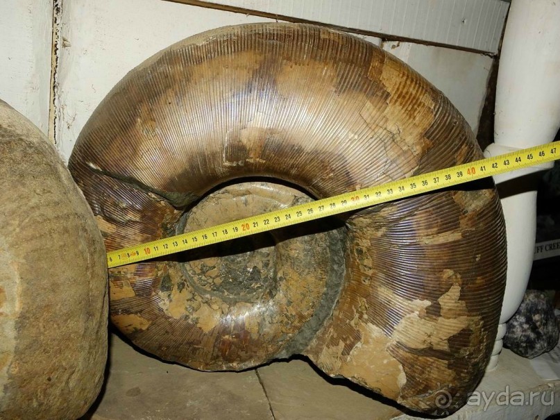 Зимние скалы Адыгеи