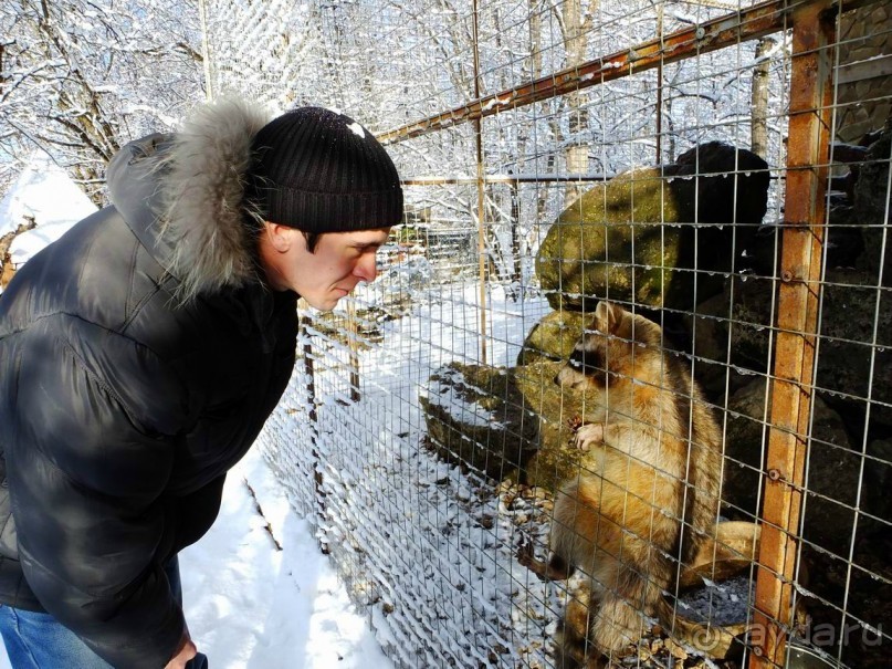 Зимние скалы Адыгеи
