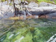 Альбом отзыва "На каяках по фьордам"