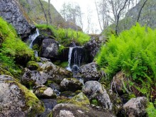 Альбом отзыва "На каяках по фьордам"