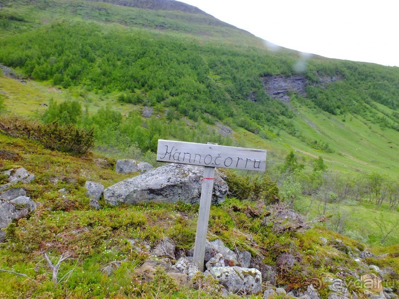 Люнгенские Альпы