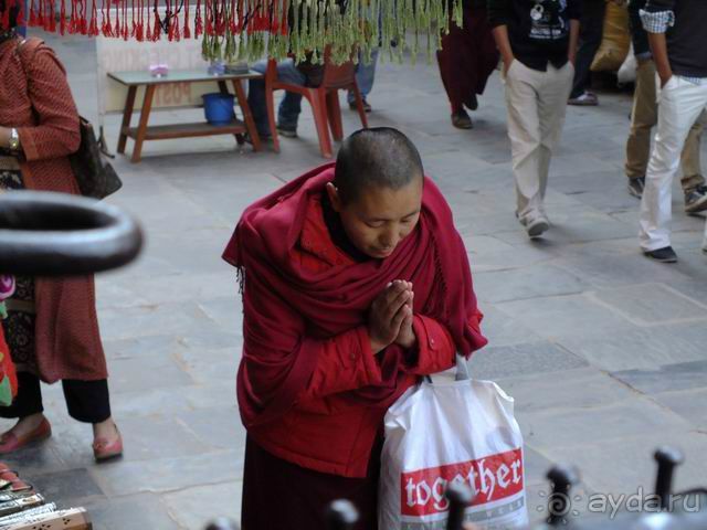 Саши, яки и маунт Эверест. Часть III