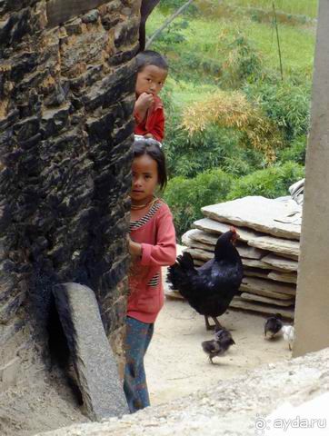 Лангтанг. В облаках живут не ангелы.