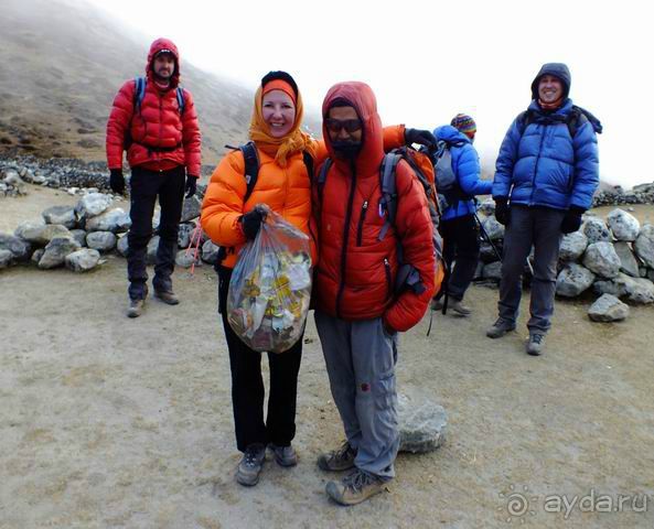 Волонтерский сбор мусора