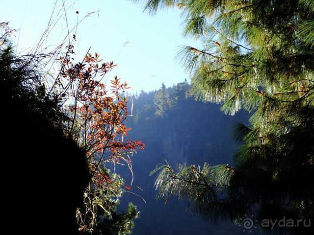 Саши, яки и маунт Эверест, часть I