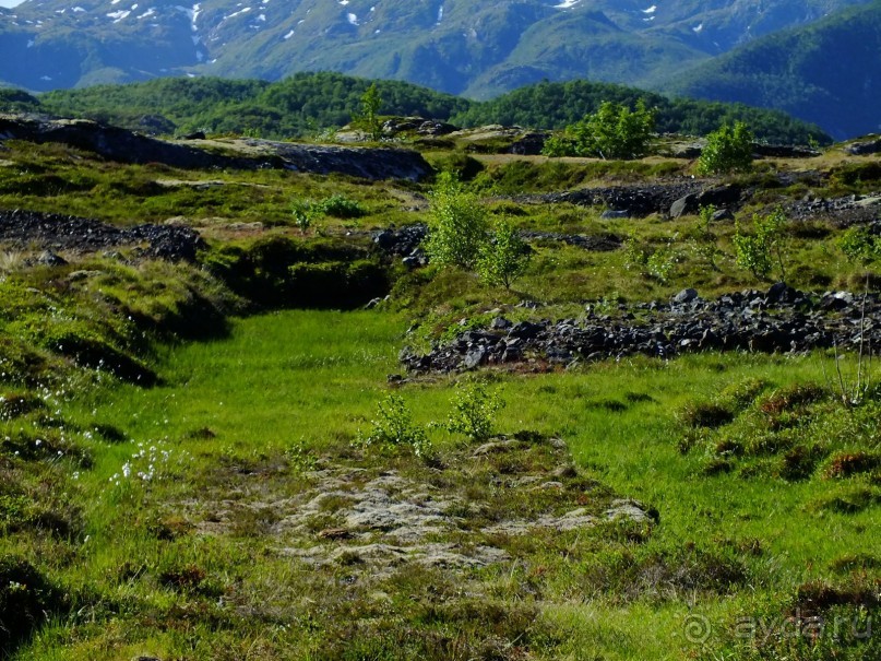 Викинги Заполярной Норвегии