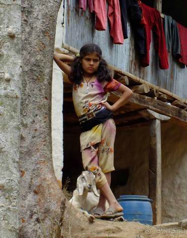 Непал, трек по Лангтангу