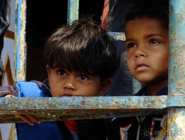 Непал, трек по Лангтангу