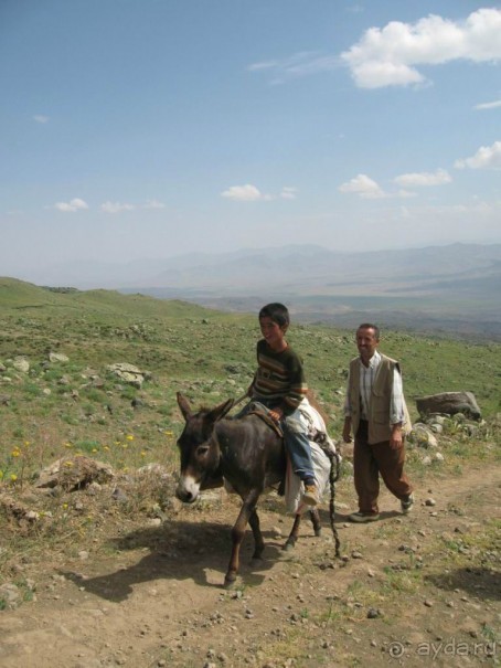 Арарат от Максима Богатырева