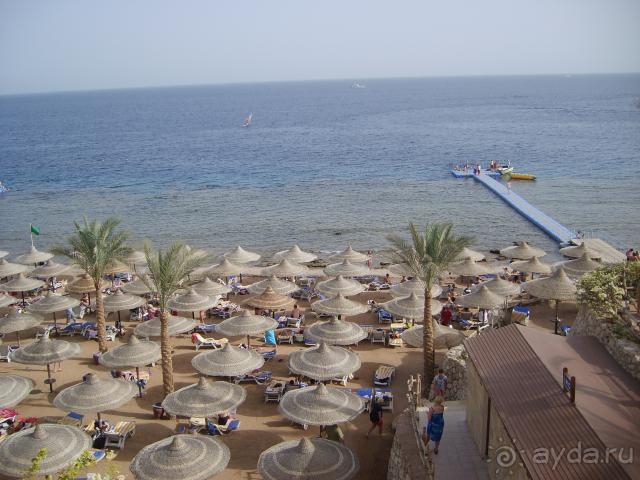 фото Hotel Le Palme