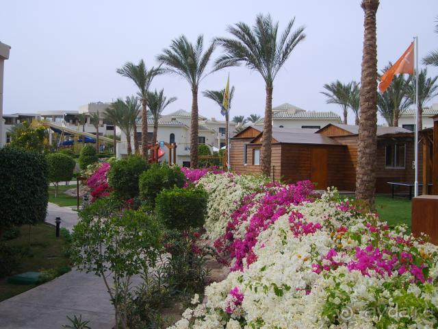 фото Hotel Le Palme