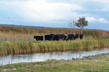 Остров Хийумаа на автомобиле