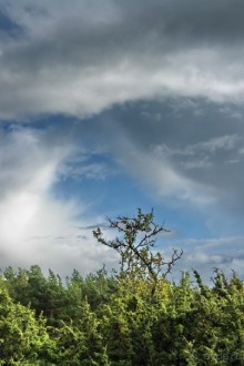 Остров Хийумаа на автомобиле